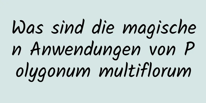 Was sind die magischen Anwendungen von Polygonum multiflorum