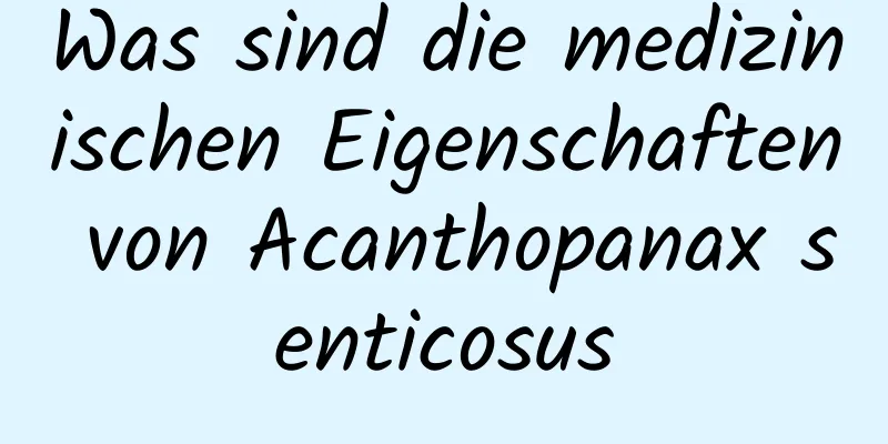 Was sind die medizinischen Eigenschaften von Acanthopanax senticosus