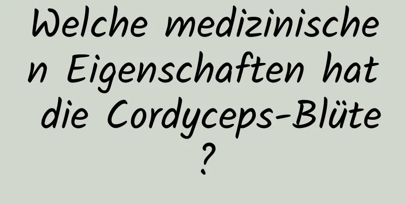 Welche medizinischen Eigenschaften hat die Cordyceps-Blüte?