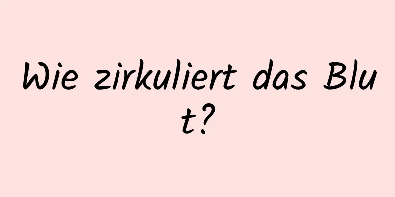 Wie zirkuliert das Blut?