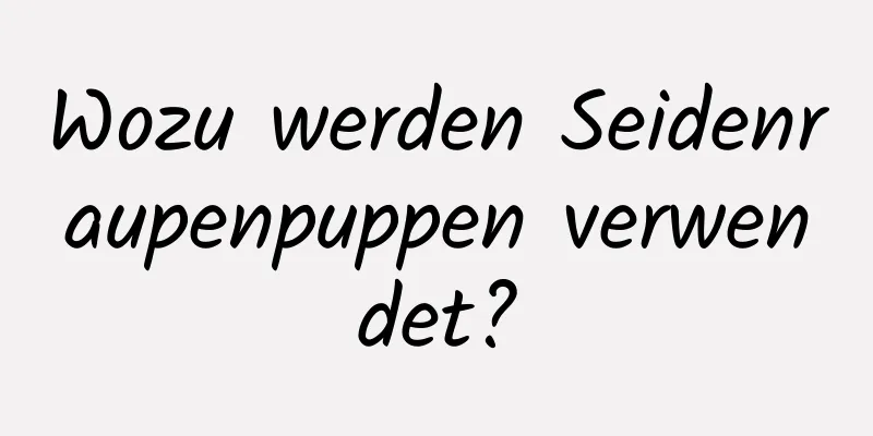 Wozu werden Seidenraupenpuppen verwendet?