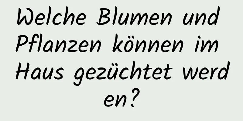 Welche Blumen und Pflanzen können im Haus gezüchtet werden?