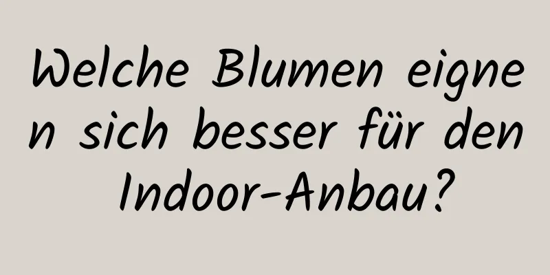 Welche Blumen eignen sich besser für den Indoor-Anbau?