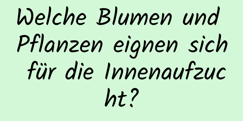 Welche Blumen und Pflanzen eignen sich für die Innenaufzucht?