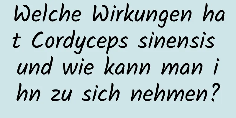 Welche Wirkungen hat Cordyceps sinensis und wie kann man ihn zu sich nehmen?