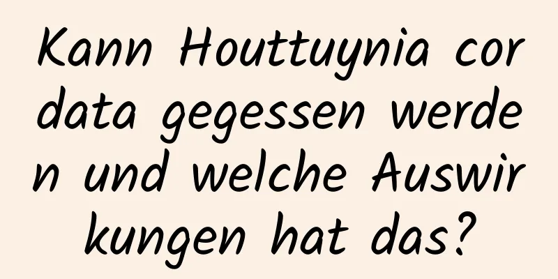 Kann Houttuynia cordata gegessen werden und welche Auswirkungen hat das?