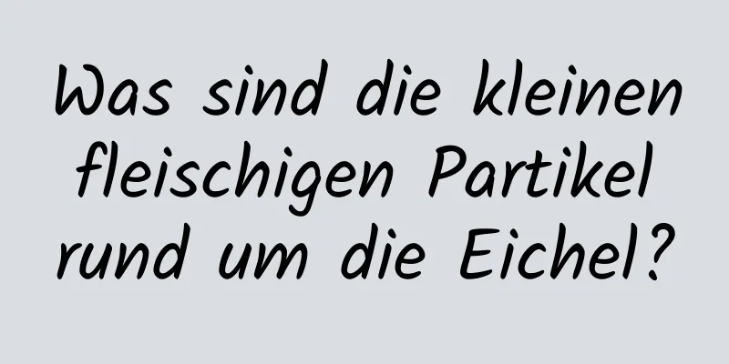 Was sind die kleinen fleischigen Partikel rund um die Eichel?