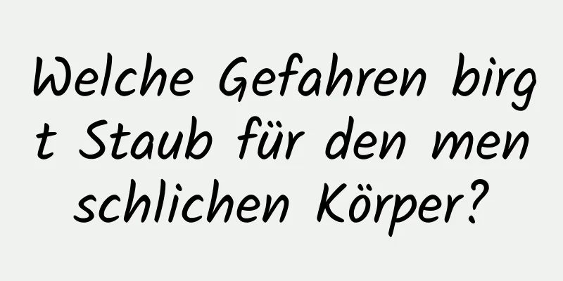 Welche Gefahren birgt Staub für den menschlichen Körper?