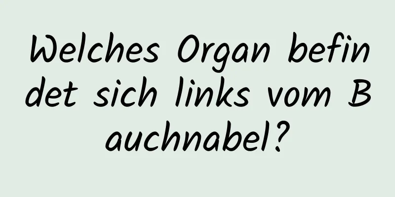 Welches Organ befindet sich links vom Bauchnabel?