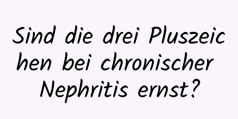Sind die drei Pluszeichen bei chronischer Nephritis ernst?
