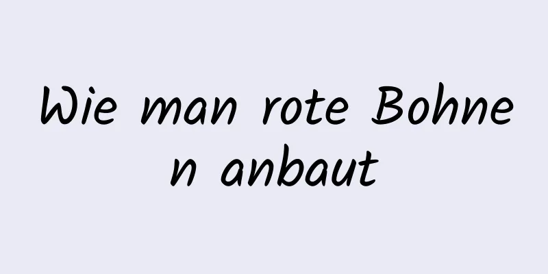 Wie man rote Bohnen anbaut