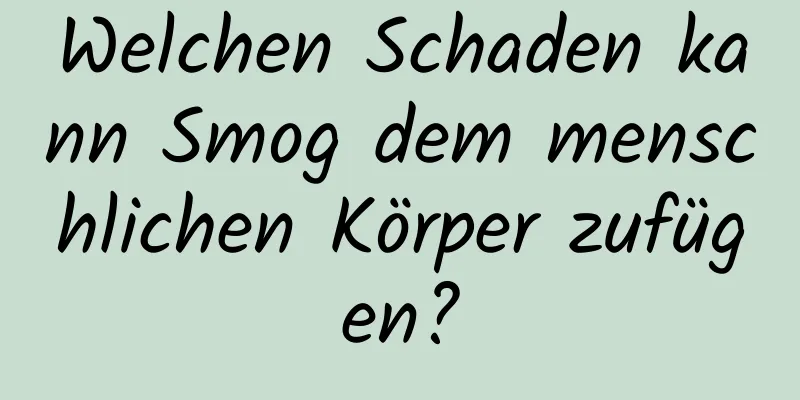 Welchen Schaden kann Smog dem menschlichen Körper zufügen?