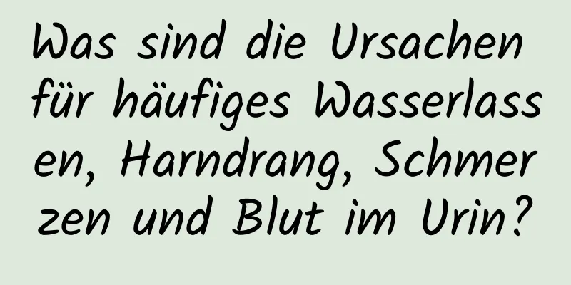 Was sind die Ursachen für häufiges Wasserlassen, Harndrang, Schmerzen und Blut im Urin?