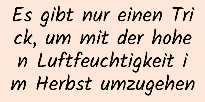 Es gibt nur einen Trick, um mit der hohen Luftfeuchtigkeit im Herbst umzugehen