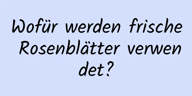 Wofür werden frische Rosenblätter verwendet?