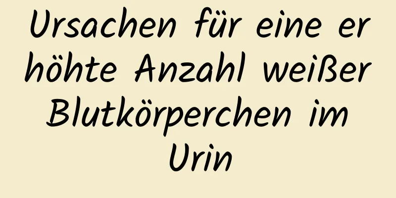 Ursachen für eine erhöhte Anzahl weißer Blutkörperchen im Urin