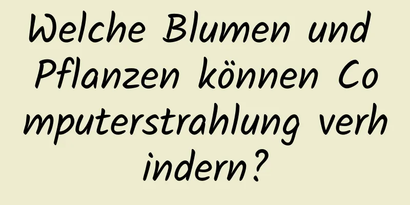 Welche Blumen und Pflanzen können Computerstrahlung verhindern?