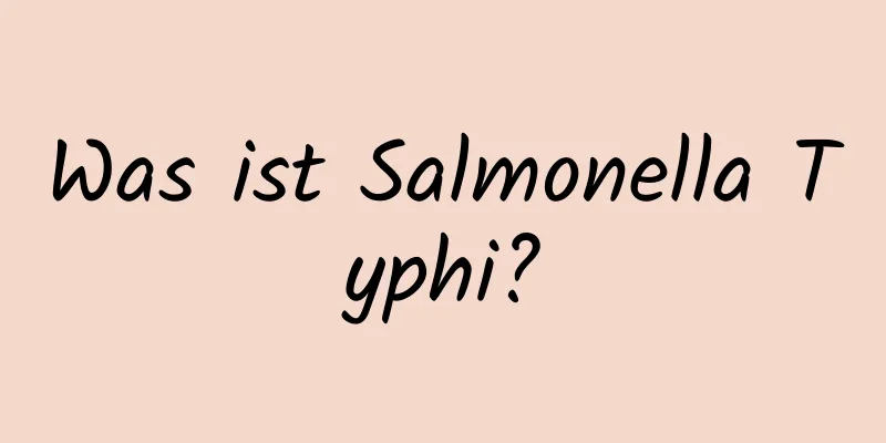 Was ist Salmonella Typhi?