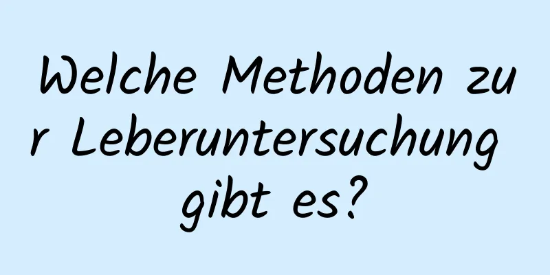 Welche Methoden zur Leberuntersuchung gibt es?
