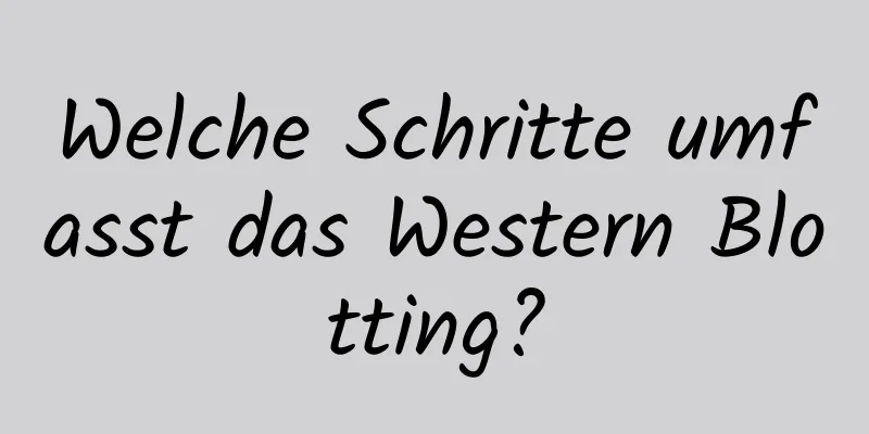 Welche Schritte umfasst das Western Blotting?