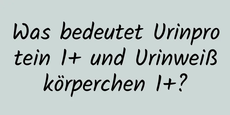 Was bedeutet Urinprotein 1+ und Urinweißkörperchen 1+?