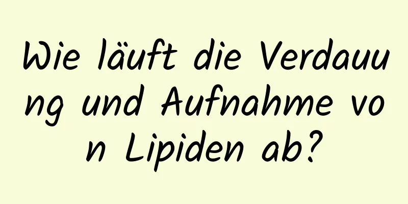 Wie läuft die Verdauung und Aufnahme von Lipiden ab?