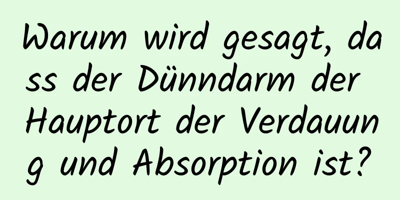 Warum wird gesagt, dass der Dünndarm der Hauptort der Verdauung und Absorption ist?