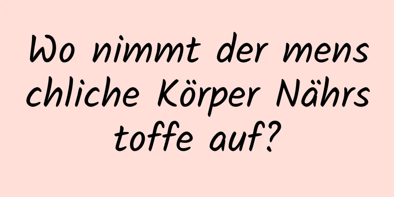 Wo nimmt der menschliche Körper Nährstoffe auf?