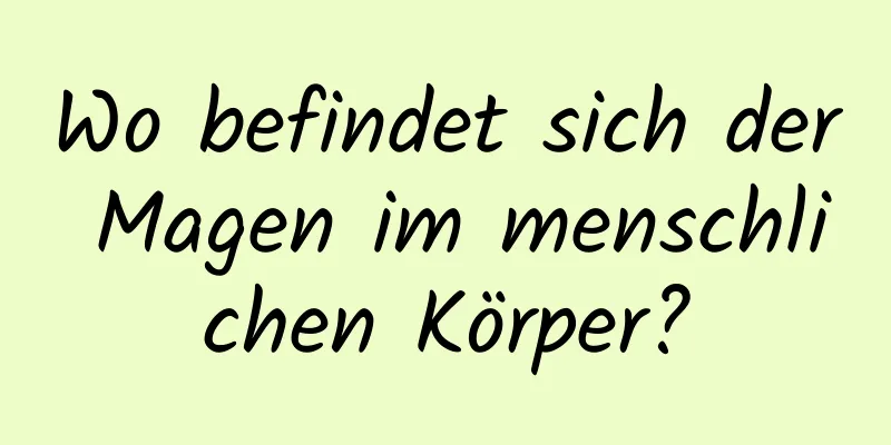 Wo befindet sich der Magen im menschlichen Körper?