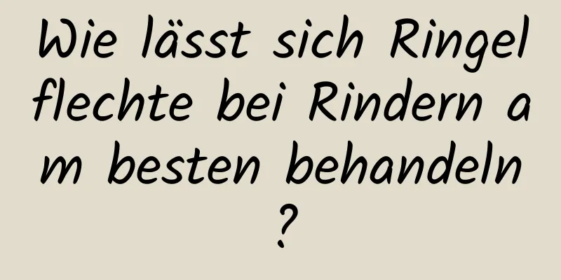 Wie lässt sich Ringelflechte bei Rindern am besten behandeln?
