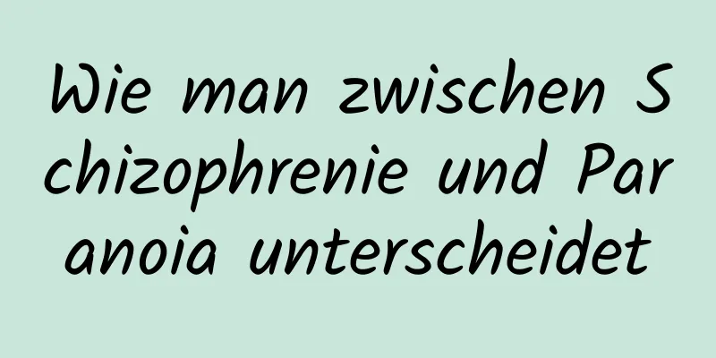 Wie man zwischen Schizophrenie und Paranoia unterscheidet