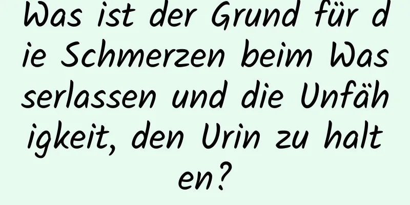 Was ist der Grund für die Schmerzen beim Wasserlassen und die Unfähigkeit, den Urin zu halten?