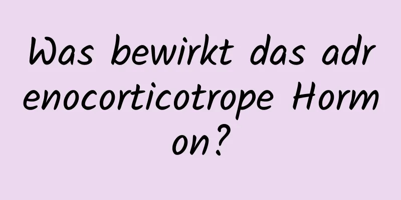 Was bewirkt das adrenocorticotrope Hormon?