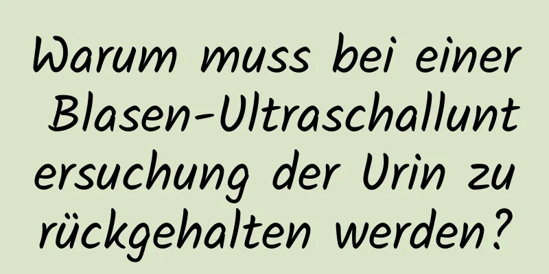 Warum muss bei einer Blasen-Ultraschalluntersuchung der Urin zurückgehalten werden?