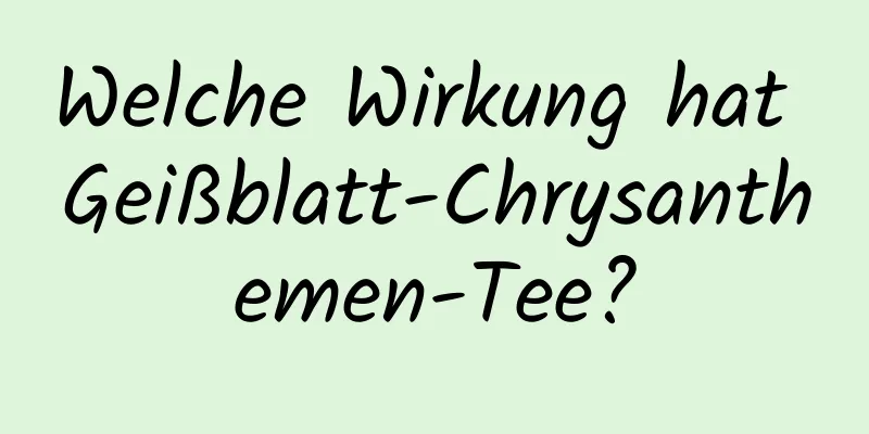 Welche Wirkung hat Geißblatt-Chrysanthemen-Tee?
