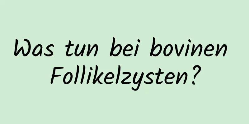 Was tun bei bovinen Follikelzysten?