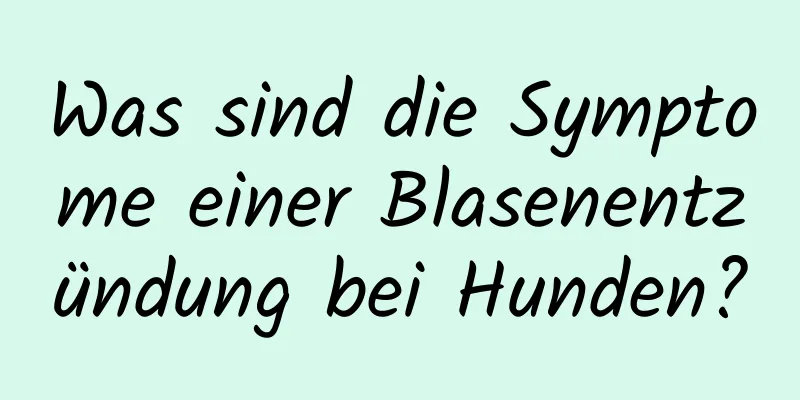 Was sind die Symptome einer Blasenentzündung bei Hunden?