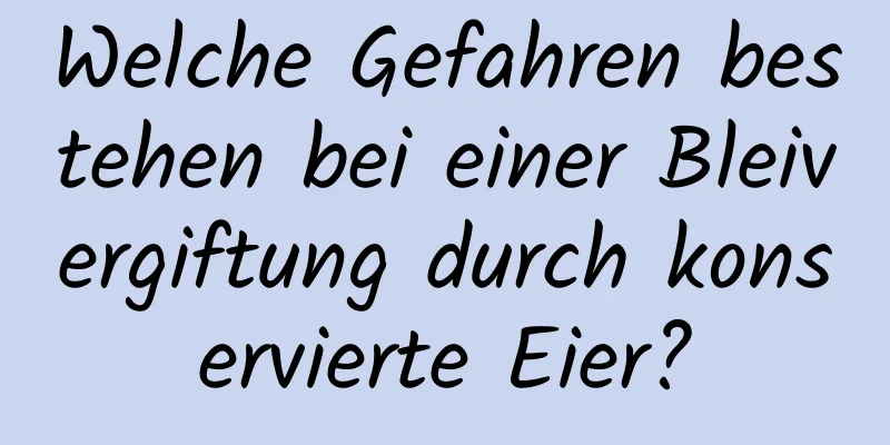 Welche Gefahren bestehen bei einer Bleivergiftung durch konservierte Eier?