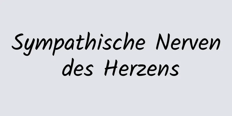Sympathische Nerven des Herzens