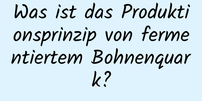 Was ist das Produktionsprinzip von fermentiertem Bohnenquark?