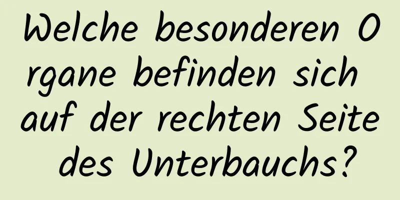 Welche besonderen Organe befinden sich auf der rechten Seite des Unterbauchs?