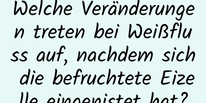 Welche Veränderungen treten bei Weißfluss auf, nachdem sich die befruchtete Eizelle eingenistet hat?