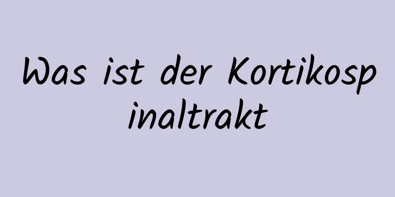 Was ist der Kortikospinaltrakt