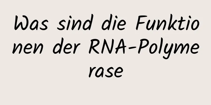 Was sind die Funktionen der RNA-Polymerase
