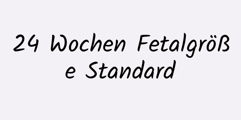 24 Wochen Fetalgröße Standard