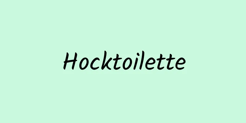 Hocktoilette