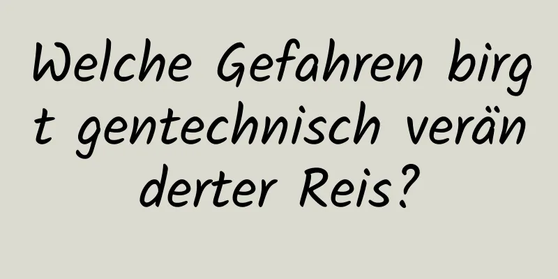 Welche Gefahren birgt gentechnisch veränderter Reis?