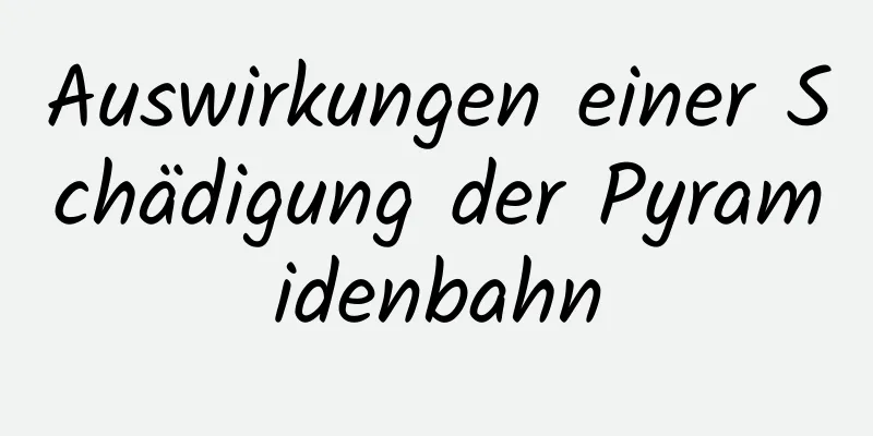 Auswirkungen einer Schädigung der Pyramidenbahn
