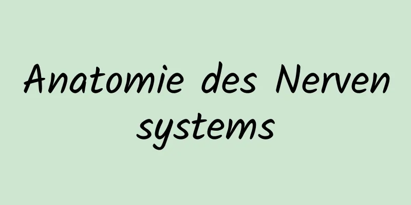 Anatomie des Nervensystems