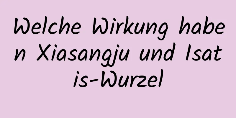 Welche Wirkung haben Xiasangju und Isatis-Wurzel